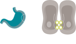 CLDN18.2 in healthy gastric epithelial cells.