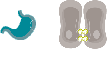 CLDN18.2 in healthy gastric epithelial cells.